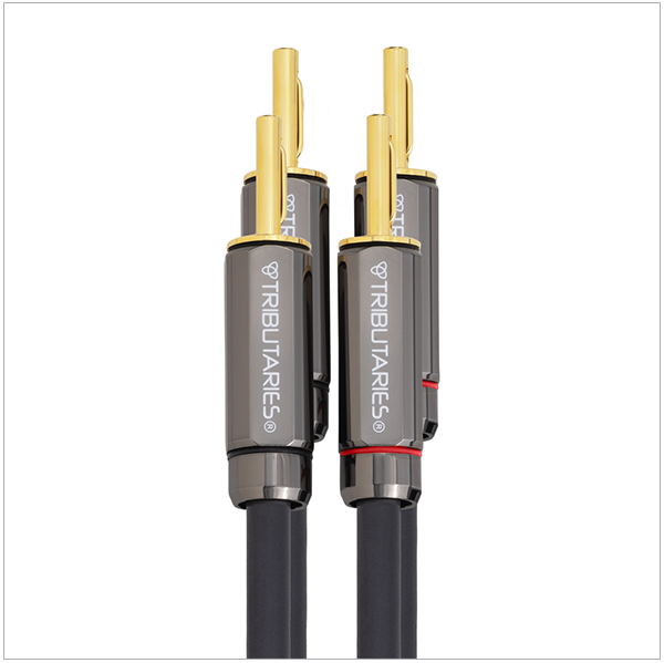 Star Quad Speaker Cables - Model 6SP MKII